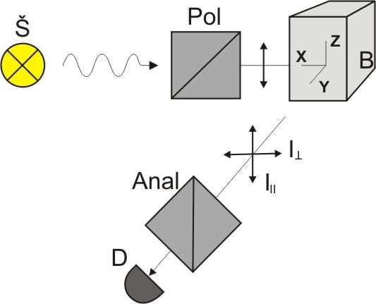 Liuminescencijos poliarizacija ir jos taikymas molekulių tyrimui. Molekulės sugeria tą spinduliavimą, kurio elektrinis vektorius nukreiptas lygiagrečiai elektrono šuolio vektoriui molekulėje.