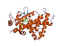 великог броја гена и синтезу ћелијских протеина (Marušić G i sar., 2013; Reichrath J et al., 2007; Holick MF., 2004). Слика 3. Структура VDR 1.7.6.