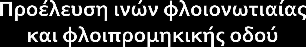 Ta σώματα των νευρώνων της πυραμιδικής οδού είναι στη στιβάδα V του φλοιού