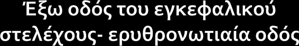 Συνάπτονται με διάμεσους νευρώνες του ΝΜ που μεταβιβάζουν τις ώσεις σε κινητικούς