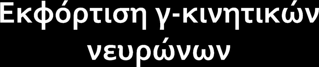 Η διέγερση των γ- κινητικών ινών προκαλεί βράχυνση των