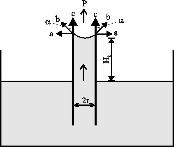 H k = r 2σ ρ g w cosα gde su: H k - visina kapilarnog penjanja, σ - površinski napon na granici tečne i gasovite faze, α - ugao kvašenja enja, R - radijus (poluprečnik) krivine meniska, ρ w - gustina