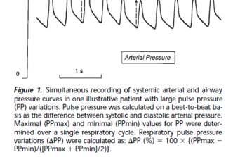 Αναπνευστικές μεταβολές ΡΡ Michard F, et al (2000).