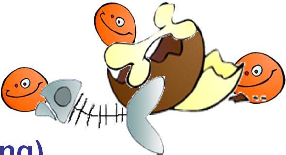 Cặn nặng/cát: Beå laéng caùt Hạt nhỏ, nặng như cát sỏi. Kích thước hạt > 200 mm (0.