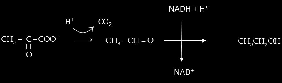 ΘΔΜΑ Γ Γ1 Γ2 Γ3 Γ4 Γ5 β γ δ Φ:2-δενμπ-D ξηβόδε 1-2: Αδελίλε-Θπκίλε 3-4: Γνπαλίλε- Κπηνζίλε Φ-Υ: θωζθνξνδηεζηεξηθόο ΘΔΜΑ Γ Γ1: α. Σωζηό, β. Λάζνο, γ. Σωζηό, δ.