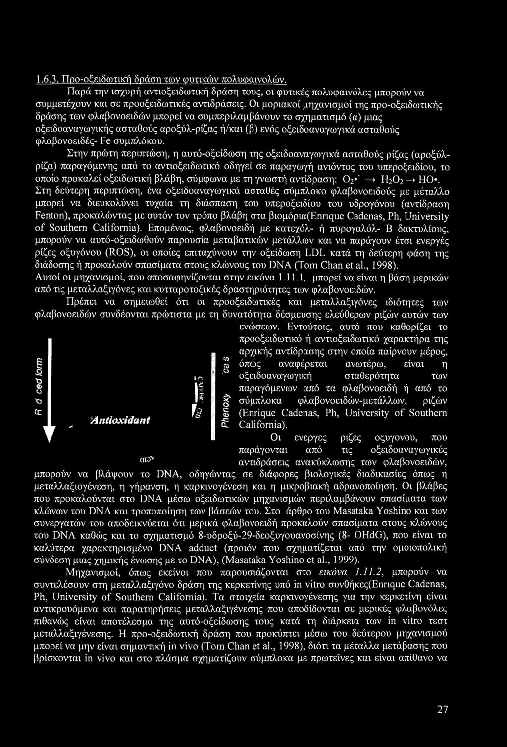 φλαβονοειδές- Fe συμπλόκου.