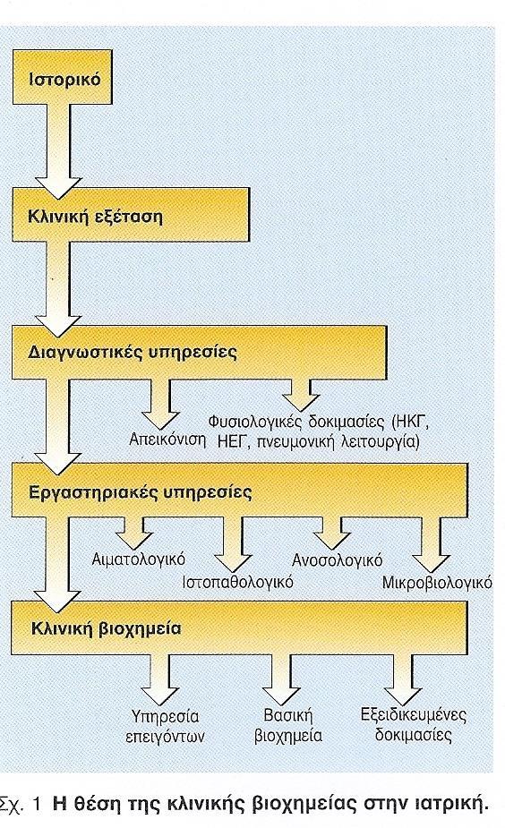 Η ΘΕΣΗ ΤΗΣ ΚΛΙΝΙΚΗΣ