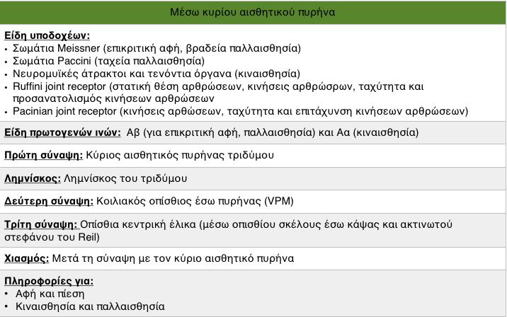 μεσεγκεφαλικό πυρήνα του τριδύμου ο οποίος χορηγεί παράπλευρους κλάδους προς τον παρακείμενο