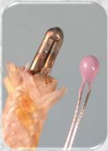 Type K (Chromel Ni-Cr alloy - 90%-10%) & Alumel Ni-Al alloy : The "general purpose" thermocouple.