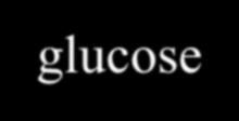 ΕΥΡΗΜΑΤΑ ΕΝΥ Normal Bacterial Viral Fungal TB other WBC (TNC) 0-5 100-10,000 5-3000 5-500 5-500 paraneo Cell type >50% PMN >50% lymphs Protein 50-80 mg/dl >200 Nl/slight increase >50% lymphs