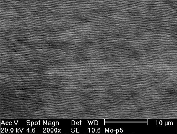 Теоријски део Слика 2.13 СЕМ микрофотографија ласерски индукованих ППС на молибдену насталих деловањем фемтосекундног титан-сафирног ласера [33].