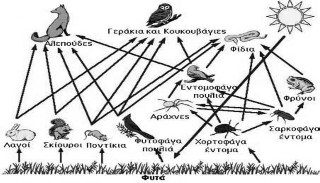 ΜΕΡΟΣ Β: Αποτελείται από τρεις (3) ερωτήσεις. Κάθε ορθή απάντηση βαθμολογείται με έξι (6) μονάδες. Να απαντήσετε σε όλες τις ερωτήσεις.