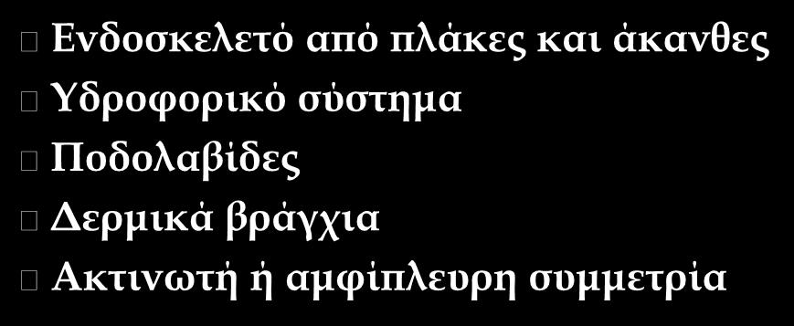 Βασικά χαρακτηριστικά Ενδοσκελετό από πλάκες και άκανθες Υδροφορικό