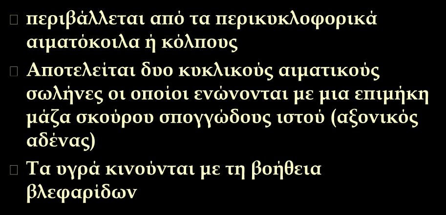 Κυκλοφορικό σύστημα περιβάλλεται από τα περικυκλοφορικά αιματόκοιλα ή κόλπους Αποτελείται δυο κυκλικούς αιματικούς σωλήνες