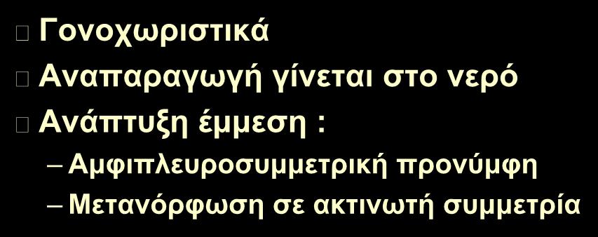 Αναπαραγωγή Γονοχωριστικά Αναπαραγωγή γίνεται στο νερό Ανάπτυξη