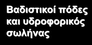υδροφορικός σωλήνας