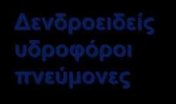 Εντερο