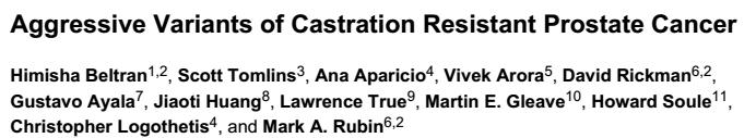 AR negative Neuroendocrine-like AR/PSA-low, p53 and RBdefective.