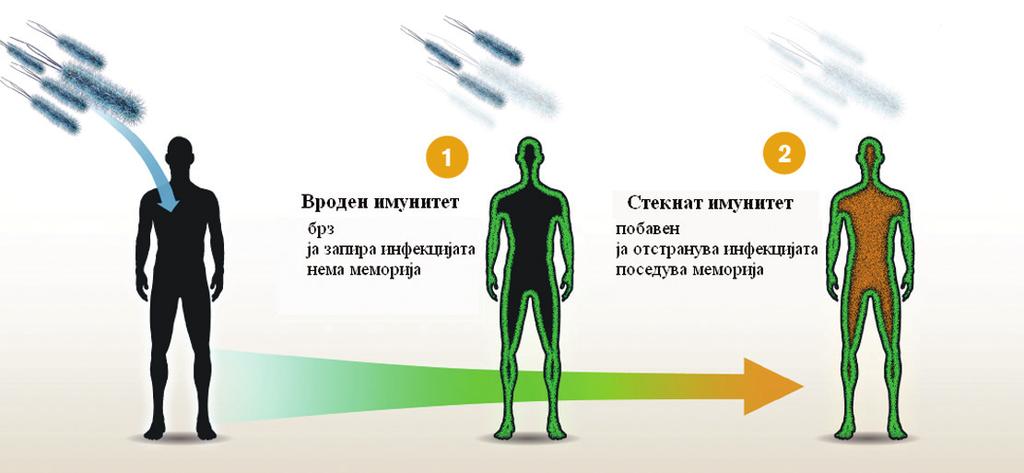 262 Вести - News Сл.