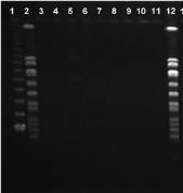 14 15 16 17 18 19 20 21 22 23 24 MWM Kb 485.