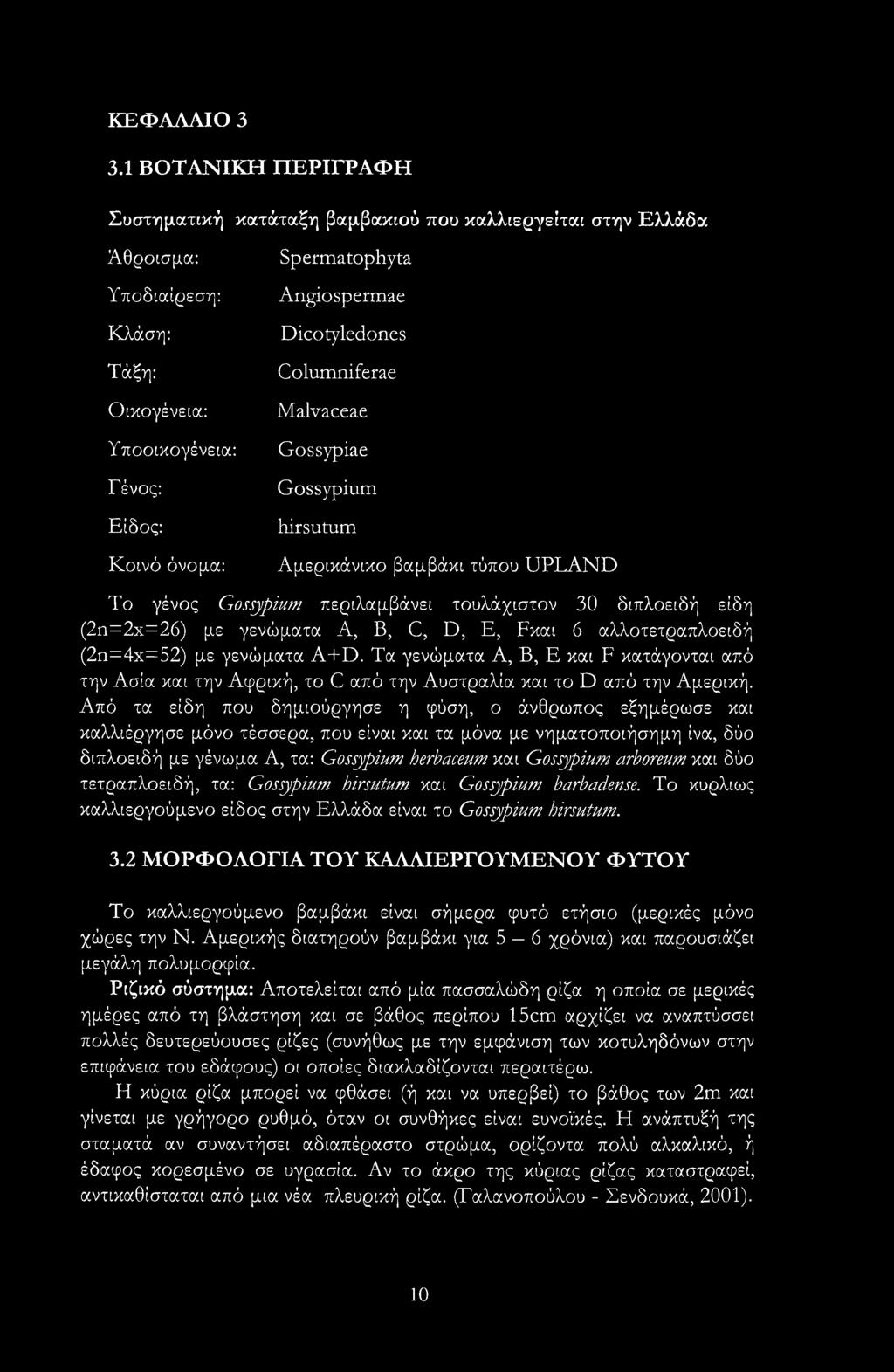 Dicotyledones Columniferae Malvaceae Gossypiae Gossypium hirsutum Αμερικάνικο βαμβάκι τύπου UPLAND To γένος Gossypium περιλαμβάνει τουλάχιστον 30 διπλοειδή είδη (2n=2x=26) με γενώματα A, Β, C, D, Ε,