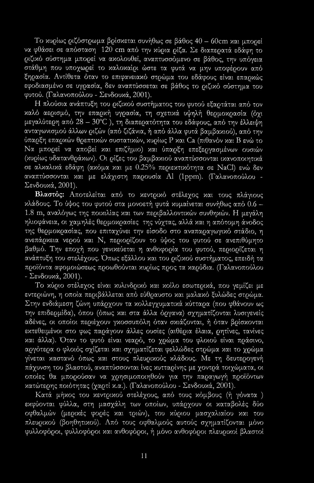 Αντίθετα όταν το επιφανειακό στρώμα του εδάφους είναι επαρκώς εφοδιασμένο σε υγρασία, δεν αναπτύσσεται σε βάθος το ριζικό σύστημα του φυτού. (Γαλανοπούλου - Σενδουκά, 2001).