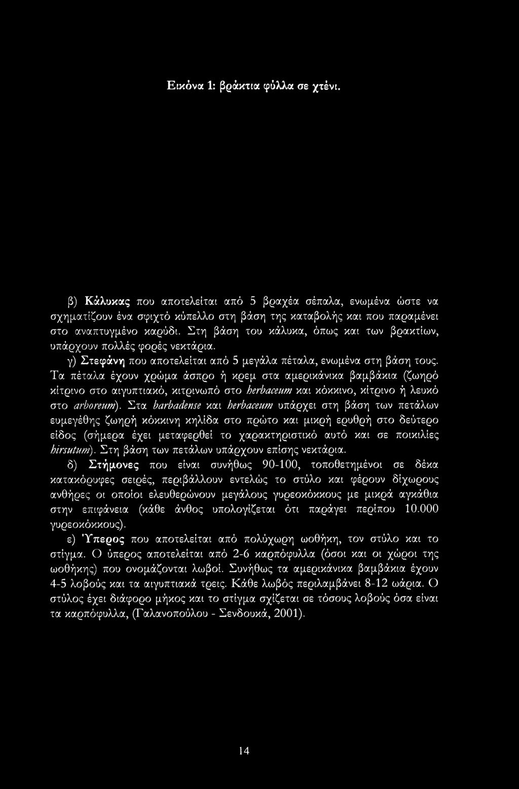 hirsutum). Στη βάση των πετάλων υπάρχουν επίσης νεκτάρια.