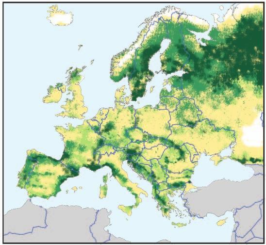 Νερό 0-1 2-10 11-25 26-75 76-100 Ποσοστό δασοκάλυψης στη συνολική έκταση της Ευρώπης (% ανά τετραγωνικό. χλμ.) 24.