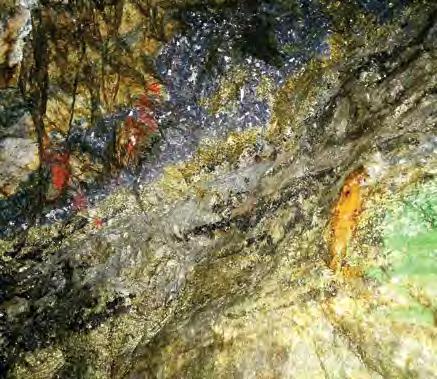 Stratabound manto-type replacement polymetallic sulphide ore in Olympias mine, showing the predominant presence of galena (lead-pb sulphide) and sphalerite (zinc-zn sulphide) at the contact zone of