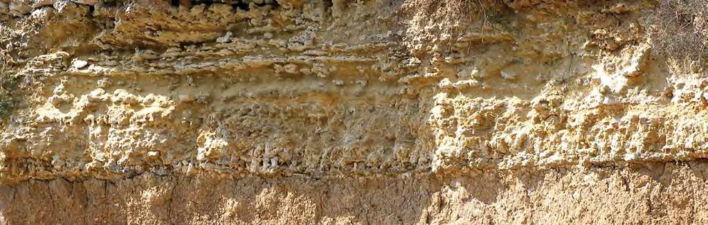 Άθυτος Athytos Η «Πέτρα» κάνει τη διαφορά «Stone» plays a vital role Στρωματογραφική ανάπτυξη της πέτρας Αθύτου που χαρακτηρίζει τη γεωλογική δομή της περιοχής.