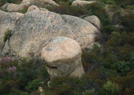 Φυσικά γλυπτά που δημιουργεί η επιφανειακή αποσάρθρωση του γρανίτη Σιθωνίας. Natural sculptures shaped by weathering of Sithonia granite.