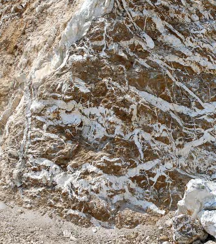 Ο μαγνησίτης 46, ανθρακικό ορυκτό του μαγνησίου, γνωστός πιο πολύ με το όνομα λευκόλιθος (λόγω του χρώματος του), είναι ο βασικότερος λόγος που η Χαλκιδική έχει τόσο μεταλλευτική όσο και τουριστική