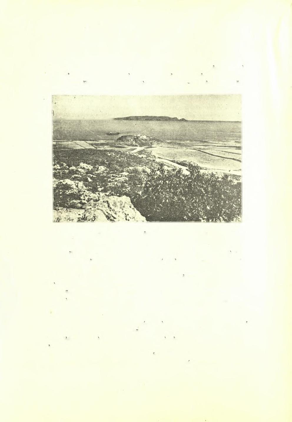 92 Πρακτικά Αρχαιολογικής Εταιρείας 1930 χαρακτηριστικά: ' Η διεΰθυνσις τοΰ ά'ξονός του είναι περίπου από Αν. προς Δ., τής εισόδου άνοιγομένης προς Άνατολάς εις μικράν αυτόθι ΰπάρχουσαν χαράδραν.