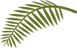 Activities will include Palm making for the Palm Sunday service.