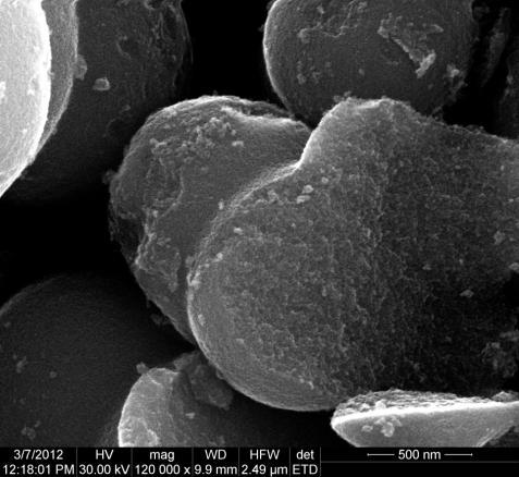 In imaginea de microscopie electronica de baleiaj (imagine de electroni secundari SEI) a pulberii de dioxid de Ti (depusa pe o banda conductoare de carbon aflata pe un suport de aluminiu) se observa