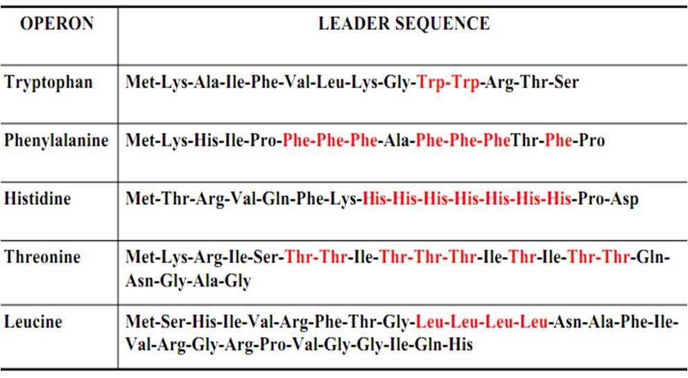 Một số Operon điều hòa giảm bớt 3/24/2016