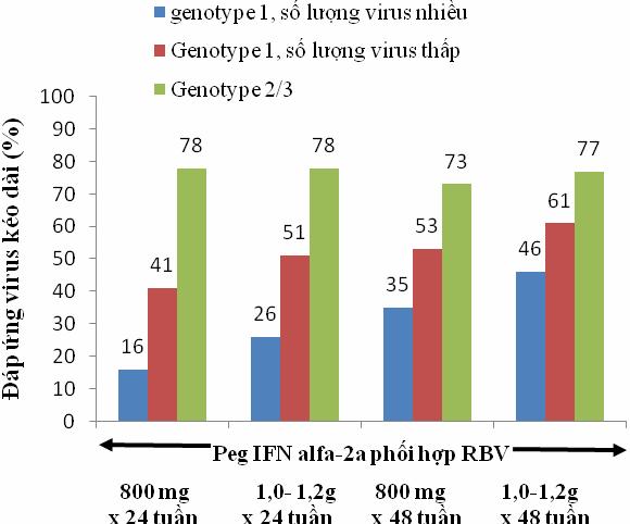 Hình 4. Tỉ lệ đáp ứng virus học kéo dài ở những người nhận điều trị với peginterferon alfa-2a (PegIFN) và hai liều khác nhau ribavirin (RBV) trong 24 hay 48 tuần. IV.