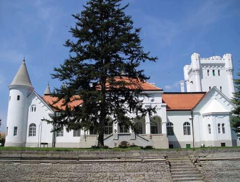ДВОРАЦ ФАНТАСТ ЗАДУЖБИНА ДУНЂЕРСКИХ Вредан споменик културе Дворац Фантаст налази се на око 14 км од Бечеја на путу за Бачку Тополу, у централном делу Војводине. Од Новог Сада удаљен је 60 км.