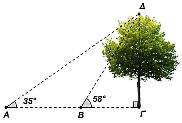 7. Δύο άνθρωποι βρίσκονται στις θέσεις Α και Β και βλέπουν το δέντρο ύψους m με γωνίες 35 ο και 58 ο αντίστοιχα.
