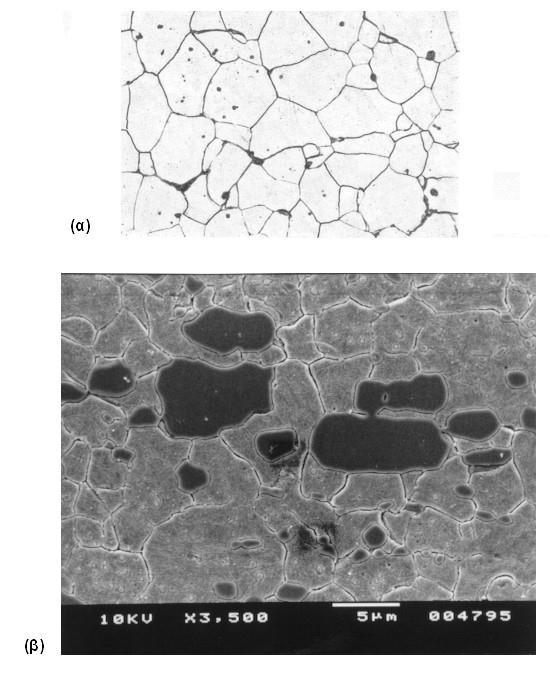 (α) Μικροδομή μονοφασικού κράματος Fe, που διακρίνονται οι κόκκοι μίας μόνο φάσης (αφάση) σε μεγέθυνση Χ500.