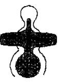 Η φυσική Αρχή Κέντρο = κοιλιά Απόρροια στο στήθος και το κεφάλι Το πρόσωπο που είχε δώσει το ρολοϊ ήταν έκπληκτο.