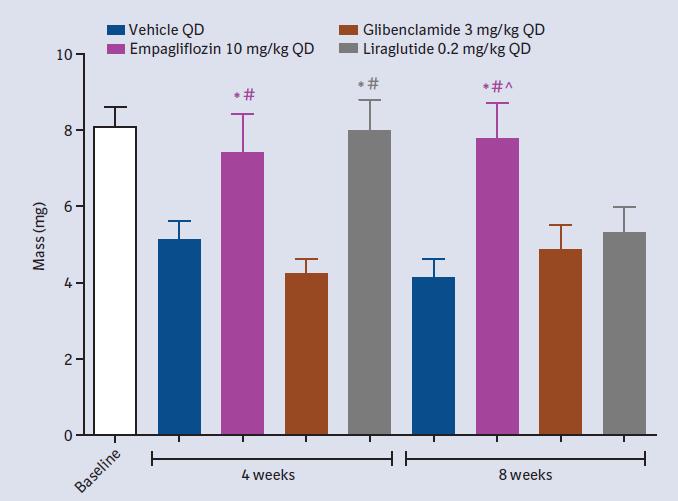 β-cell preservation and insulin sensitivity with SGLT2 inhibition: Preclinical evidence ZDF