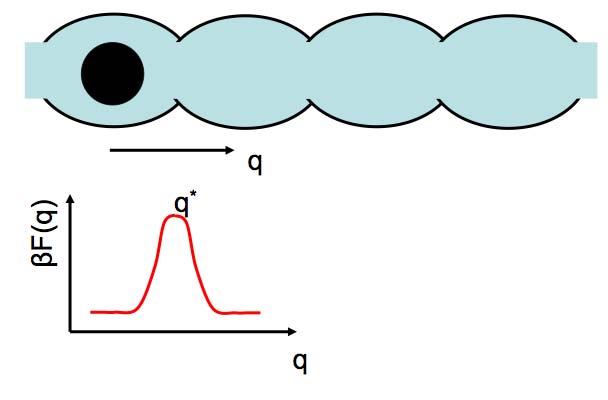 Probability to find the system with order