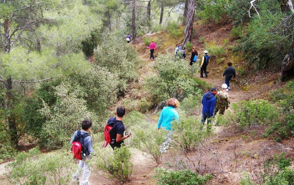 Εξωτερικές Εξορμήσεις Περπατήματα στη φύση Περπατήματα στη φύση με τη συνοδεία του