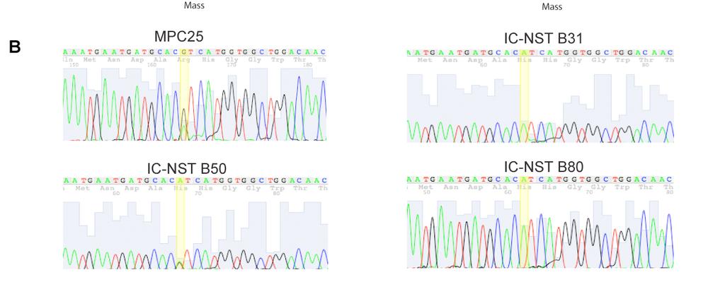 12 Supplementary Figure S2. Supplementary Figure S2. Identification and validation of PIK3CA mutations by the Sequenom Oncocarta v1.0 panel. Using the Oncocarta v1.