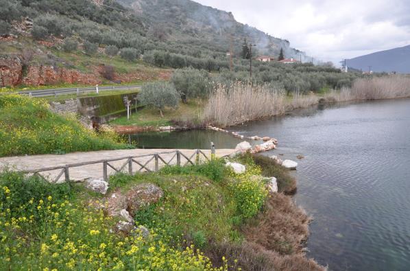 του Οικολογικού Πάρκου