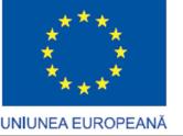 1. Proiecte de cercetare în parteneriat între universităţi/institute de cercetare-dezvoltare și întreprinderi 4. Numărul de înregistrare din SMIS CSNR: Contractul ID 486/SMIS 11832 5.