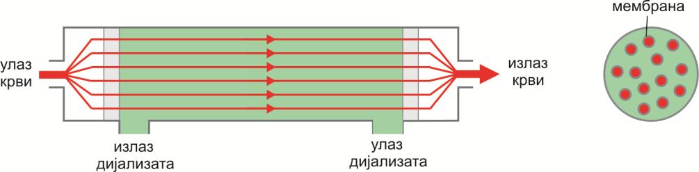 кроз мембрану потпомогнута присуством електростатичког поља познате су под називом електродијализа. Слика 7. Вештачки бубрег, уздужни и попречни пресек. 3.2.