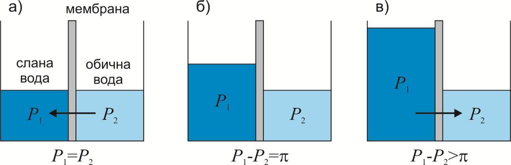 Осмоза се догађа док се не изједначе хемијски потенцијали растварача са обе стане мембране. Процес осмозе шематски је приказан на слици 8 на примеру слане и обичне воде.