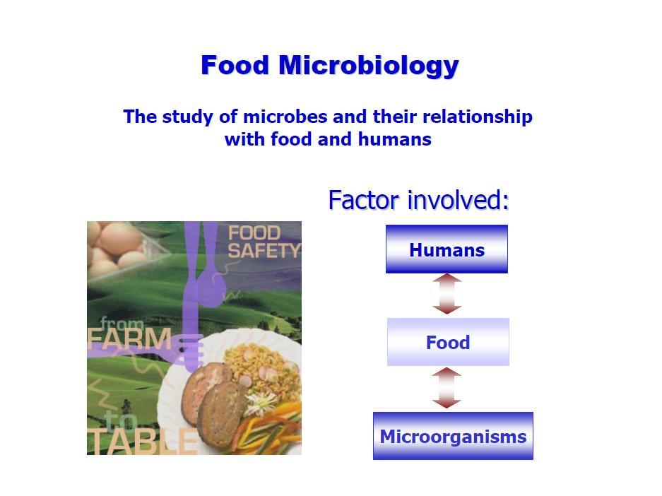 Mikrobiologija - nauka koja se bavi proučavanjem organizama koji su obično toliko mali da se ne mogu videti golim